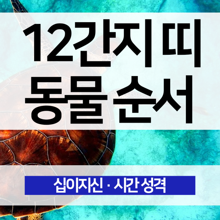 12가지 띠 동물 순서 자축인묘진사오미신유술해 십이간지 12간지 시간 성격 : 네이버 블로그