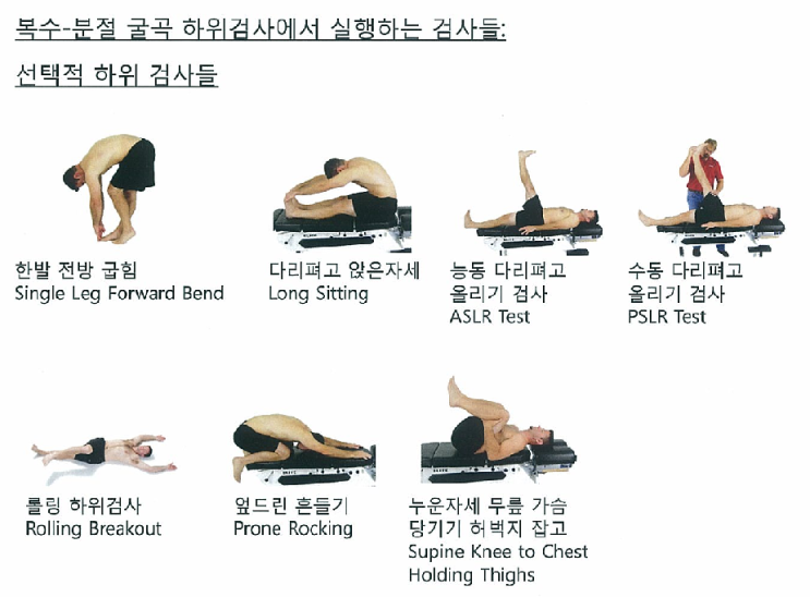 복수 분절 굴곡의 하위검사를 알아봅시다. - SFMA : 네이버 블로그