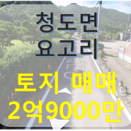 (106-51)밀양시 토지 매매】 청도면 요고리 2필지 토지 매매 2억9000만