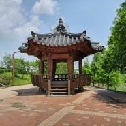 TV영상산책 인천, 부천, 김포에 걸쳐있는 경인아라뱃길 두리생태공원 영상 산책 스페셜60분 A코스 여름 시간여행