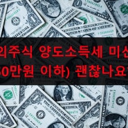 해외주식 양도소득세 미신고(250만 이하) 괜찮나? 확인은?