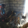 세계일주 아프리카 탄자니아 여행(4) 마사이족들의 염소 시장 동행기