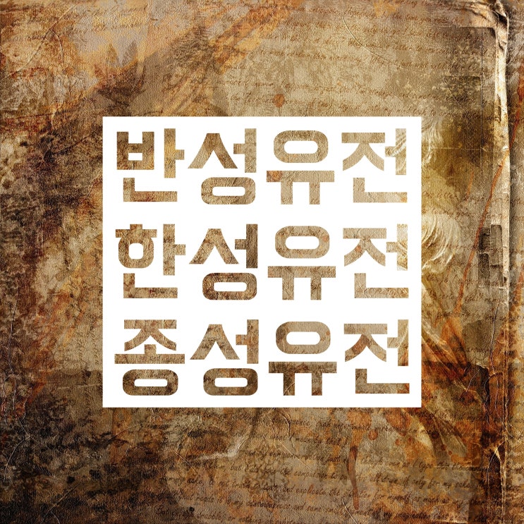 반성유전 한성유전 종성유전 정의와 차이 구분 방법 알아보자! : 네이버 블로그