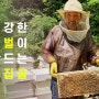 '꿀다림 허니캐리 5종' 벌집꿀 & 스틱꿀 패키지 | 와디즈 오픈예정 - 크라우드펀딩