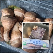 아산키움농장 참송이버섯 깊은 향과 쫄깃한 식감 맛있다