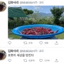 [중앙일보/한국일보] "머리를 왜 자르나요?" "그게 편하니까요"