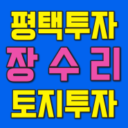 평택땅 현덕면 장수리 토지 매매 (평택 현덕지구 주변 평택 투자)