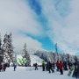 [캐나다 밴쿠버 생활 19] 밴쿠버 스키 여행 (사이프러스 스키장; Cypress Mountain)