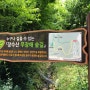 인천 부평)장수산 무장애 숲길_ 노인부터 어린아이까지 걷기 좋은 산