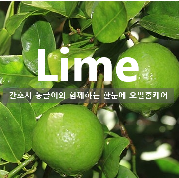 라임, 키라임 학명, 라임오일 활용법, 화학성분 : 네이버 블로그