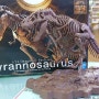 [박서방 대전본점] 1/32 Imaginary Skeleton 티라노 사우루스 프라모델 샘플 전시중!│1/32 Imaginary Skeleton Tyrannosaurus
