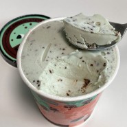 스키니피그 민트초코 저칼로리 아이스크림