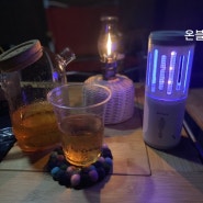 캠핑모기퇴치기) 오베르 2in1 모기퇴치 캠핑랜턴- 내돈내산 찐후기!