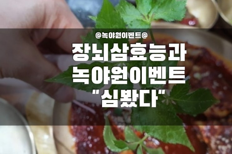 장뇌삼 산양삼 새싹삼 먹는법부터 효능까지 & 대구한정식맛집 녹야원의 이벤트 : 네이버 블로그