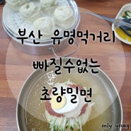 부산유명맛집 초량밀면