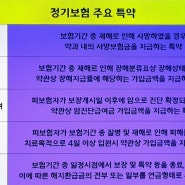 삼성생명리빙케어정기보험 알리안츠프리미어정기보험 PCA스마트정기보험 정보 알아가세요