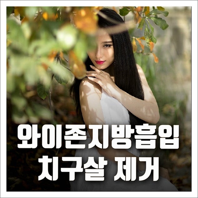 와이존지방흡입 치구살제거 : 네이버 블로그