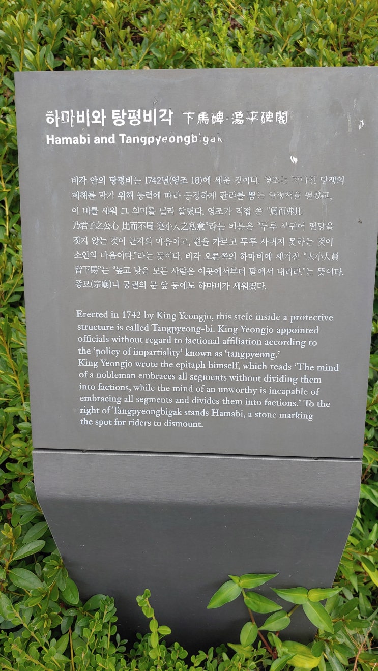 [사진] 서울 문묘(성균관) 하마비와 탕평비