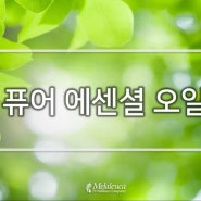 ♧ 멜라루카는 8월 어떤 선물을 준비했을까요? ♧