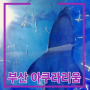 부산여행 - 해운대아쿠아리움 씨라이프 (SEALIFE) / 부산아쿠아리움