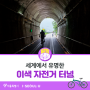 세계에서 유명한 이색자전거 터널