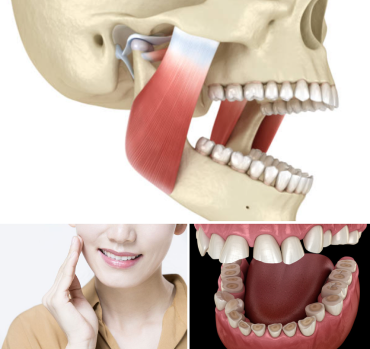 턱에서 딱딱 소리가 난다면 턱 비대칭이 있을 수 있다? : 네이버 블로그