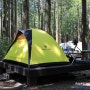 푸우&푸딩 행복한 가족 캠핑스토리 & 해발700m 편백나무숲 산책하기 좋은 서귀포자연휴양림 나홀로 캠핑 즐기기