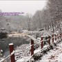 수원 광교산 오르기 - 무더운 여름에 보는 흰눈의 겨울 광교산, 수원 여행