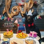 깜별&깜탄이 2번째 생일파티/ 도그쿡/ Dogcook