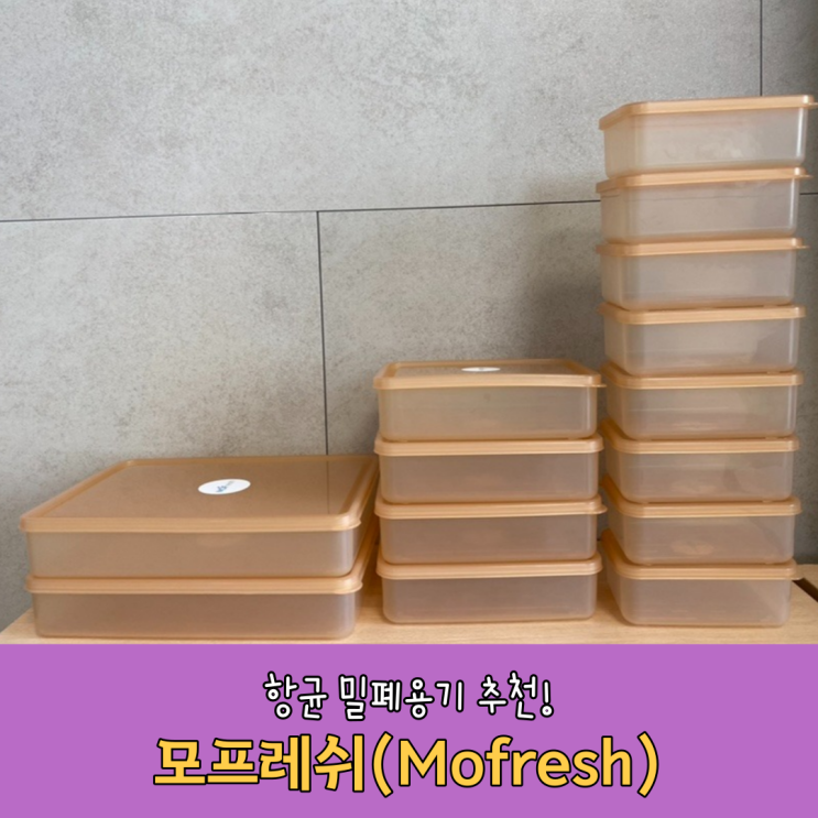 모프레쉬 향균 밀폐용기로 냉장고 정리했어요! (mofresh) : 네이버 블로그