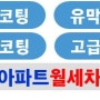 서울 성북동 디테일 스팀세차/카랑카랑