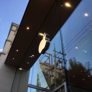 [가로수길] 애플스토어 , 마지막 인텔 아이맥 Apple Store 강남구 신사동