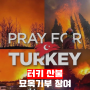 터키 산불 묘목 기부 온라인 참여했습니다 :: PRAY FOR TURKEY