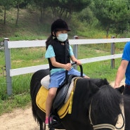 서울 경기 근교 화성 궁평 캠프 승마장 : 어린이 승마체험