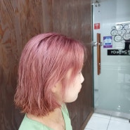 핑크염색 바이올렛 염색 핑크 & 바이올렛 염색 뿌리탈색