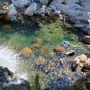 깨끗한 지리산 계곡 물이 시원한 여름 물놀이 경남 산청 삼장교 근처 노지 캠핑 ㅎㅎ