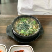 영월 맛집 동강 다슬기, 다슬기 해장국과 다슬기 비빔밥