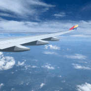 제주도 3박 4일 가족여행 마무리-비행기 하늘 구름 사진