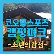 글램핑캠핑장 충북괴산 코오롱 스포츠 캠핑파크