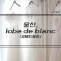♪ 울산웨딩드레스샵, lobe de blanc [로베드블랑] 제휴방문 / 손수노아플래너