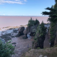 뉴브런즈윅여행 New Brunswick- 호프웰락 Hopewell Rocks