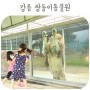 강릉 동물원 옥계 쌍둥이동물농장 먹이주기체험 놀이기구타기