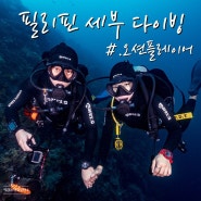 필리핀 세부 스쿠버 다이빙 한인샵 "오션 플레이어" 후기