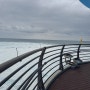 코아하우징 버드 솔루션-울진해양과학관 바다 공원 데크 산책로 난간 버드와이어 시공사례