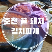 춘천 점심 꿀 돼지 김치찌개집