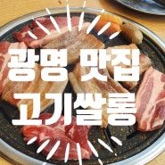 광명 무한리필 맛집 고기싸롱 방문후기~