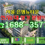 서울 은평 파크앤타워 분양 선임대 확정 상가