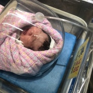 둘째 출산D-day, 부산좋은문화병원 제왕절개