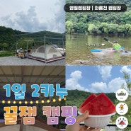 영월 캠핑장, 재밌어서 1일 2카누 와룡천 캠핑장 (무료 투명카약)