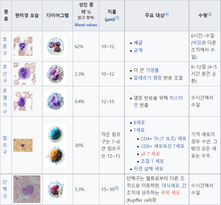 혈구 관찰과 혈액형 분석 : 네이버 블로그